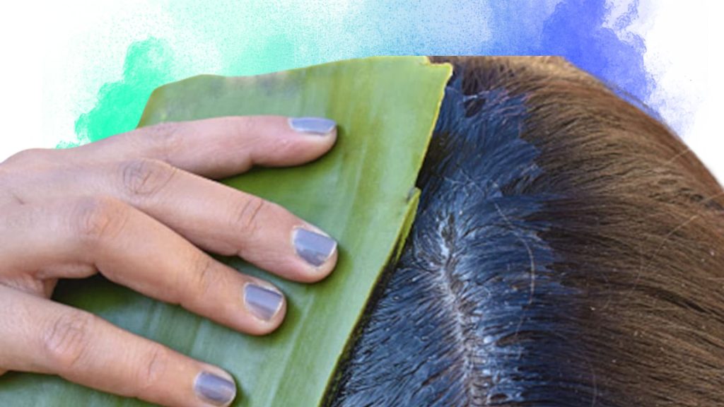 2025 ன் சிறந்த Natural Hair Growth Tips